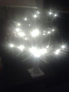 55. Arbolito en Valladares (Alberto Rus)