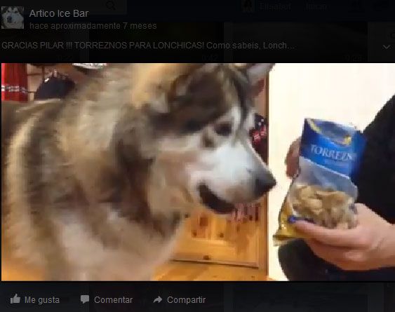 Ártico Ice Bar - A lonchas le encantan los torreznos