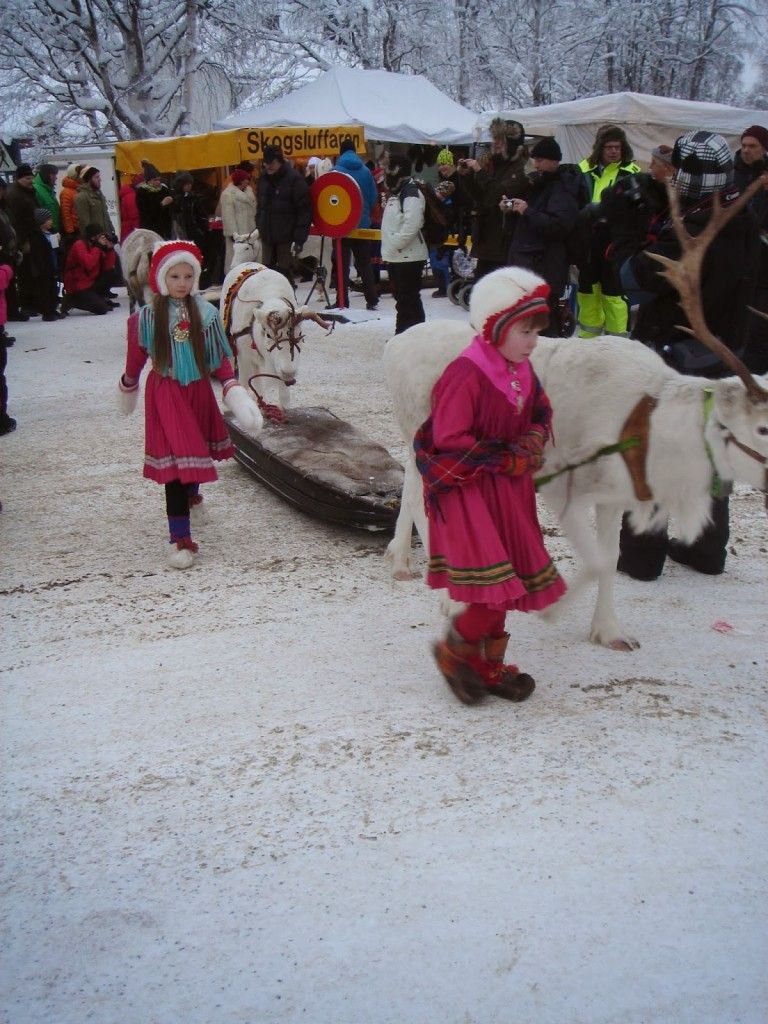 Caravana de renos del mercado de Jokkmokk (foto de Jose Ignacio)