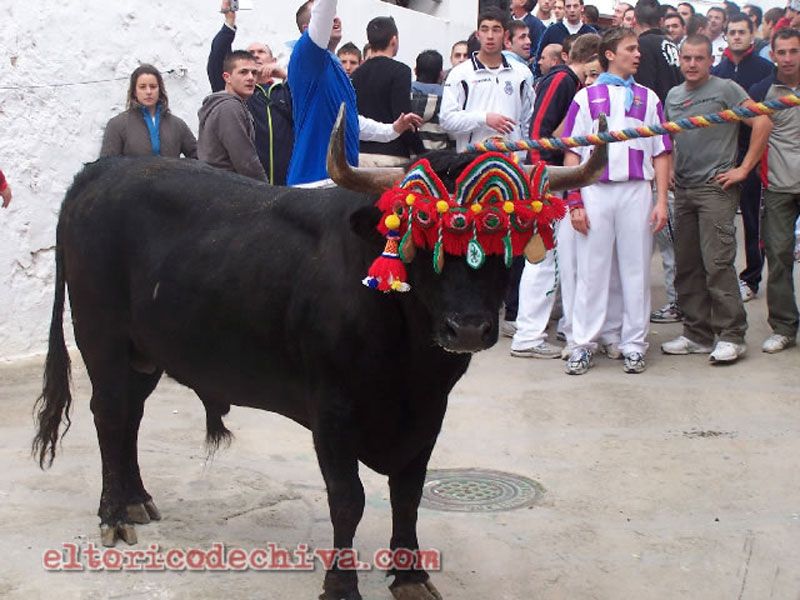 Torico de Chiva