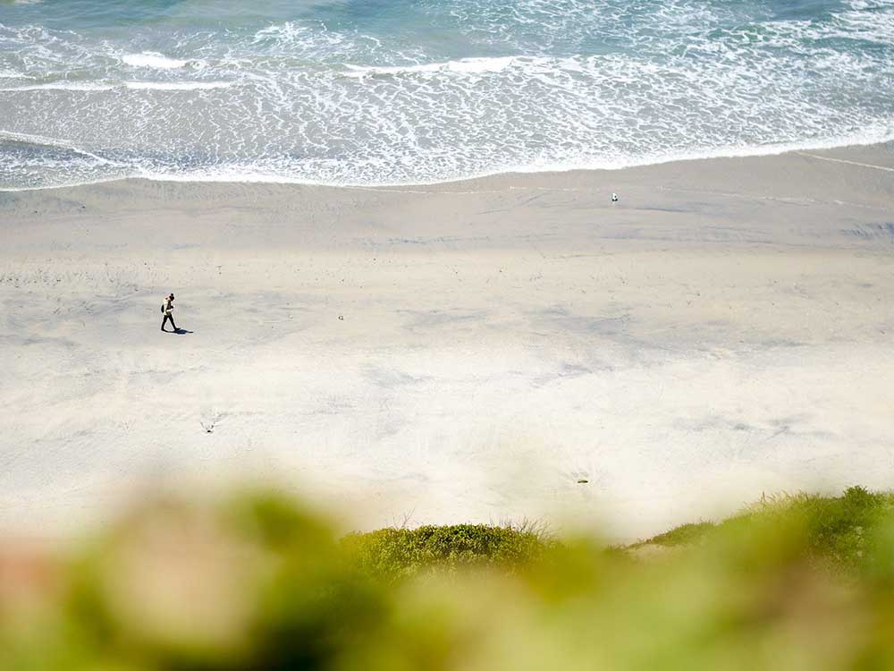 Dónde comer en San Diego