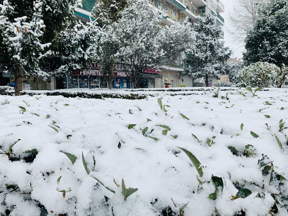 Filomena y la gran nevada de Madrid
