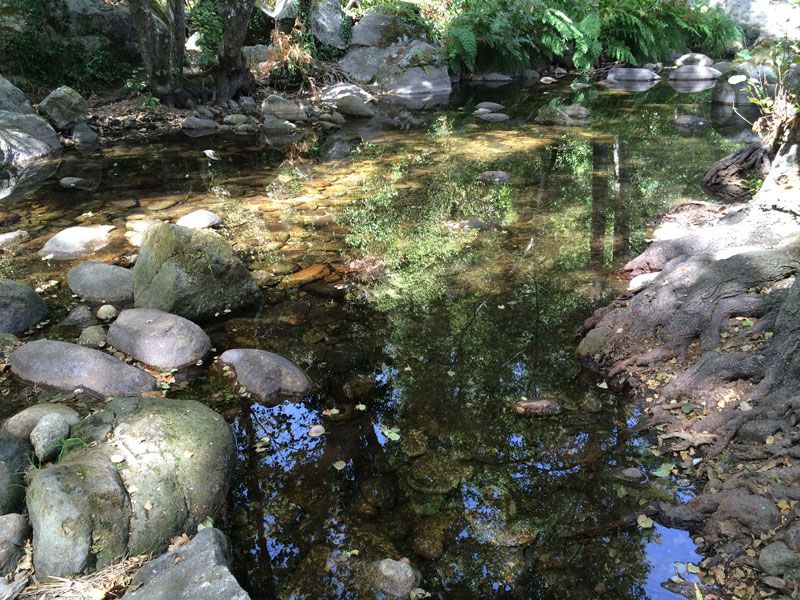Qué ver en Garganta La Olla - Piscina natural de Garganta Mayor - Poza