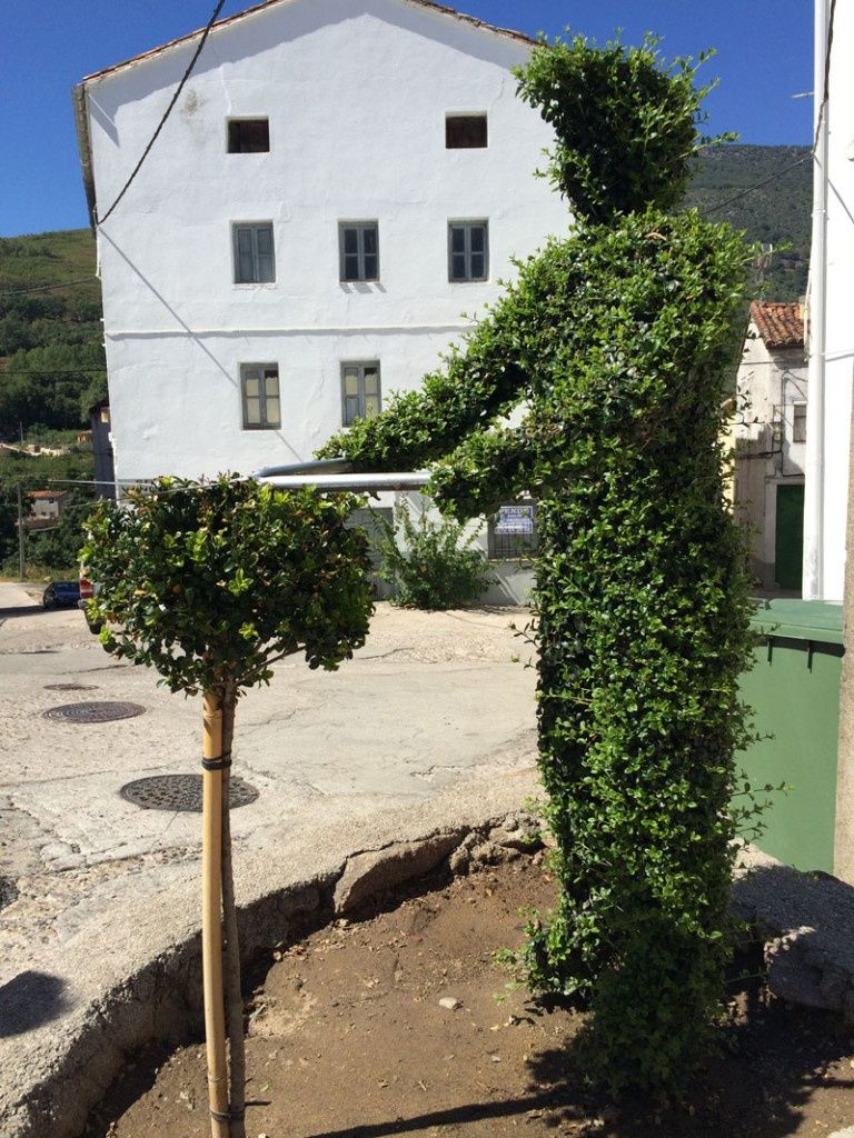 Qué ver en Losar de La Vera - Arte topiario - Vicente