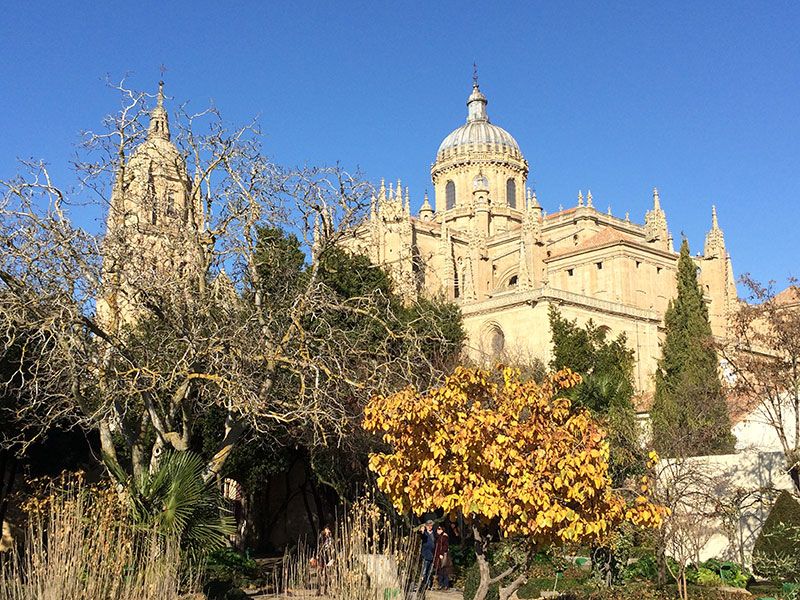 Qué ver en Salamanca en un día - Vistas de La Catedral