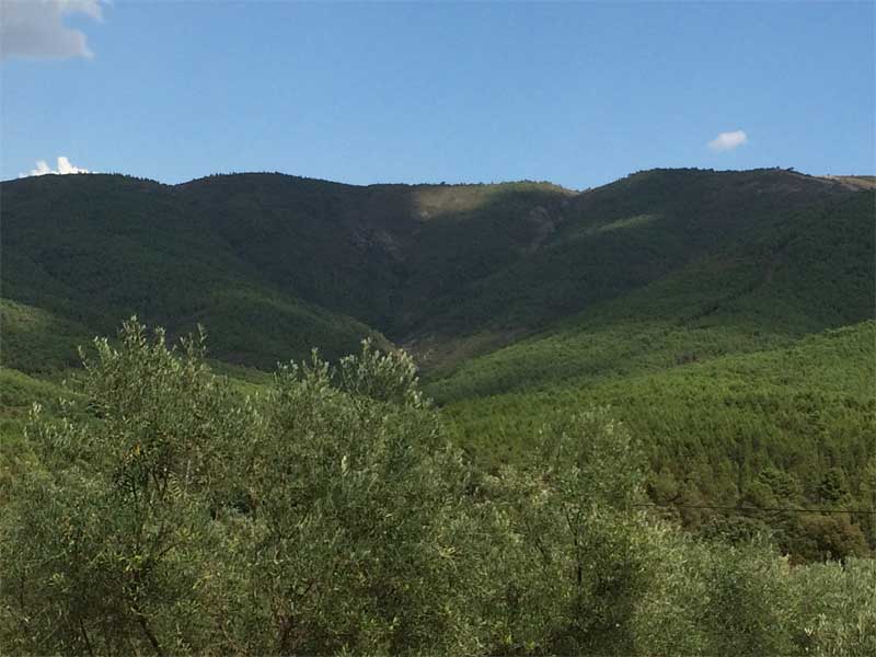 Qué ver en San Martín de Trevejo - Sierra de Gata