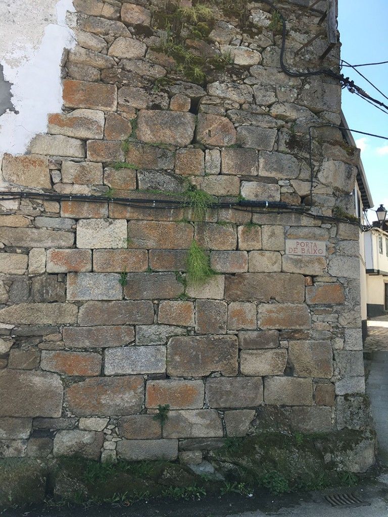 Villa medieval de Manzaneda - Trives - Porta de baixo